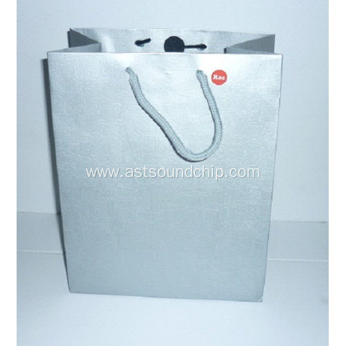 Music Paper Bag,Recording Paper Bag,Music Gift Bag